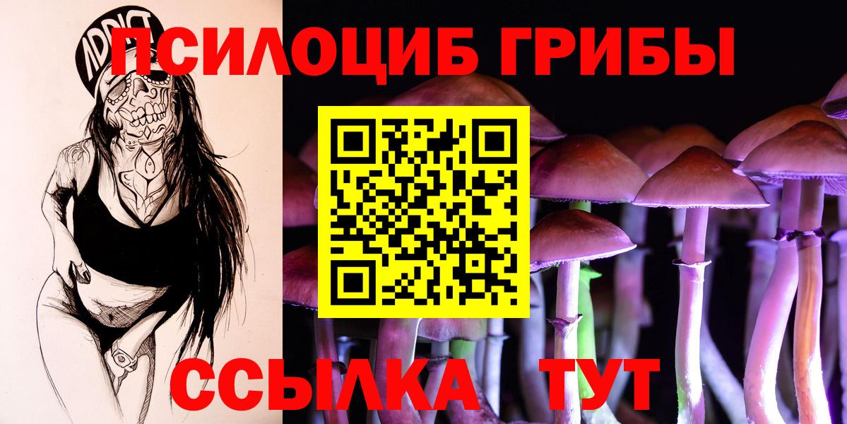 Галлюциногенные грибы Psilocybine cubensis Октябрьский
